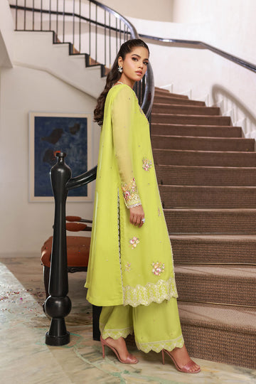 Dhanak SS25DA-2717 Green  Chiffon Pret Vol-ll 2025